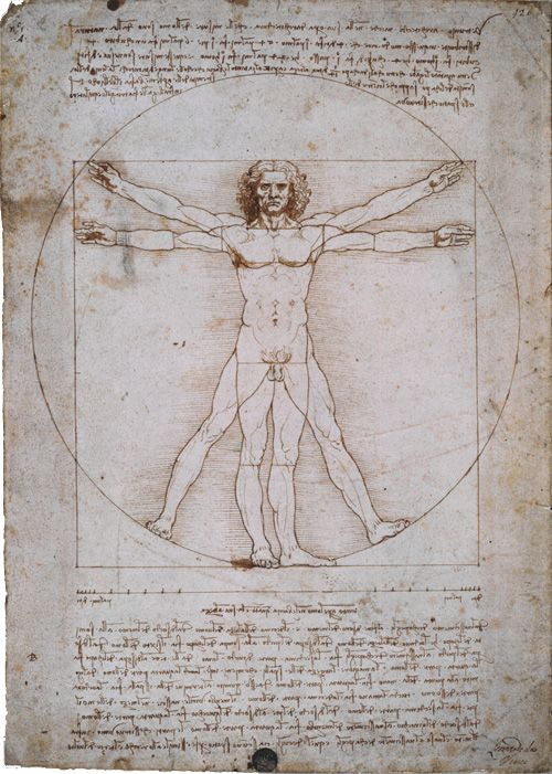 The proportions of the human body in the manner of Vitruvius (The Vitruvian Man)