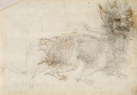 Study of a dragon The Royal Collection © 2005, Her  Majesty Queen Elizabeth II