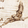 Codex on the Flight of Birds
